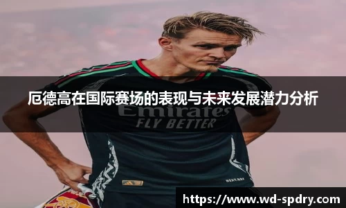 yy易游体育