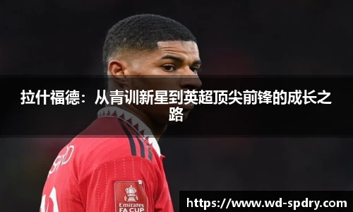 yy易游体育app